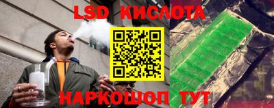 индика Обь