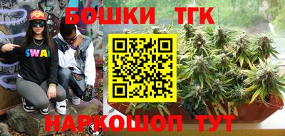 индика Обь