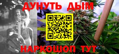 индика Обь