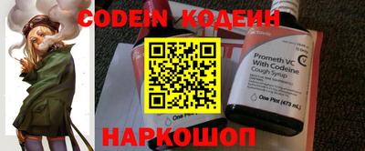 индика Обь