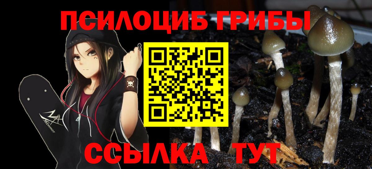 Галлюциногенные грибы Cubensis Ржев